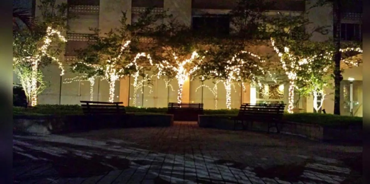 Jardim à noite com troncos de árvores envolvidos por luzes quentes